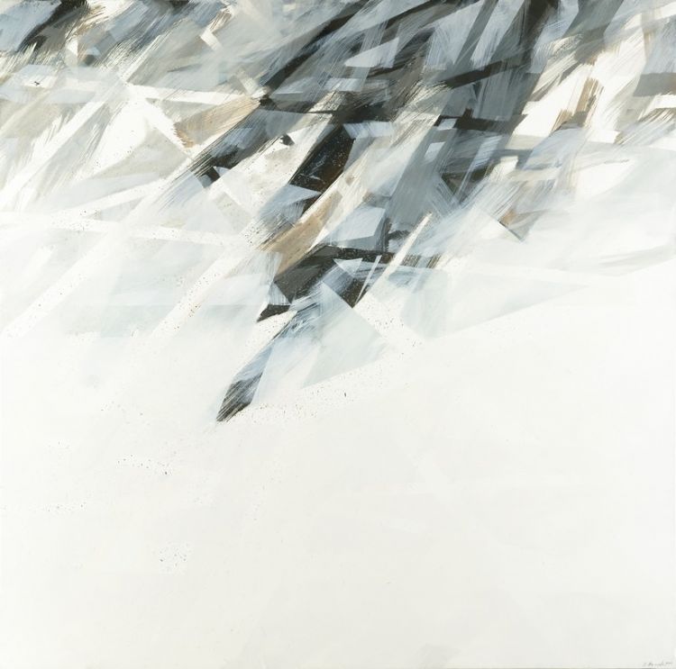 Varios