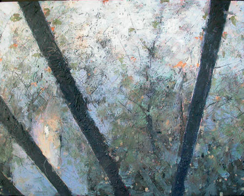 Reflejos